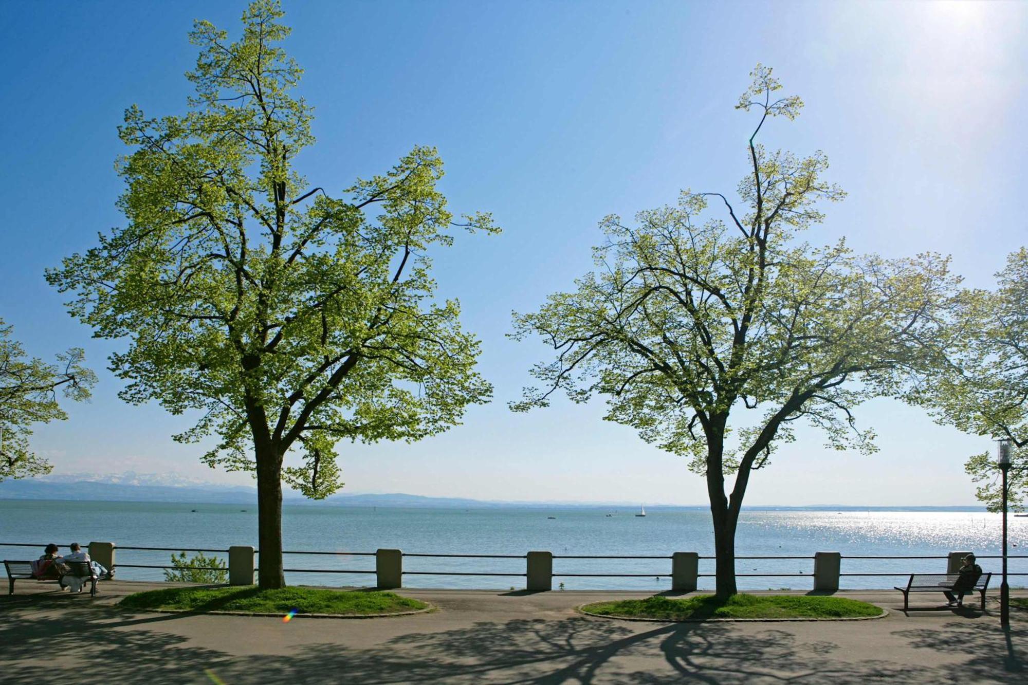Black&white Mit Sonnenbalkon Und Parkplatz * Friedrichshafen